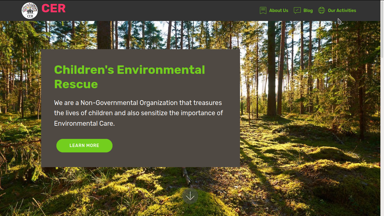 CER Website screenshot