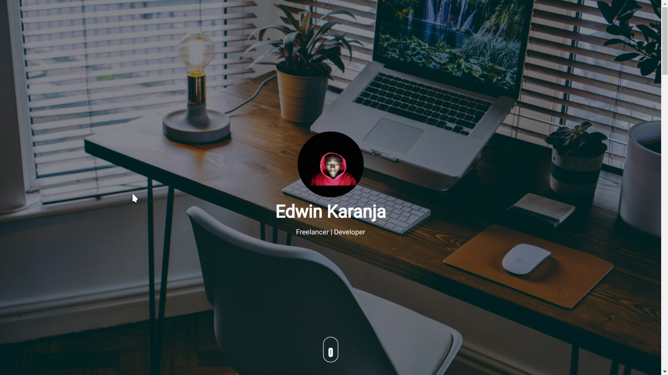 Portfolio screenshot
